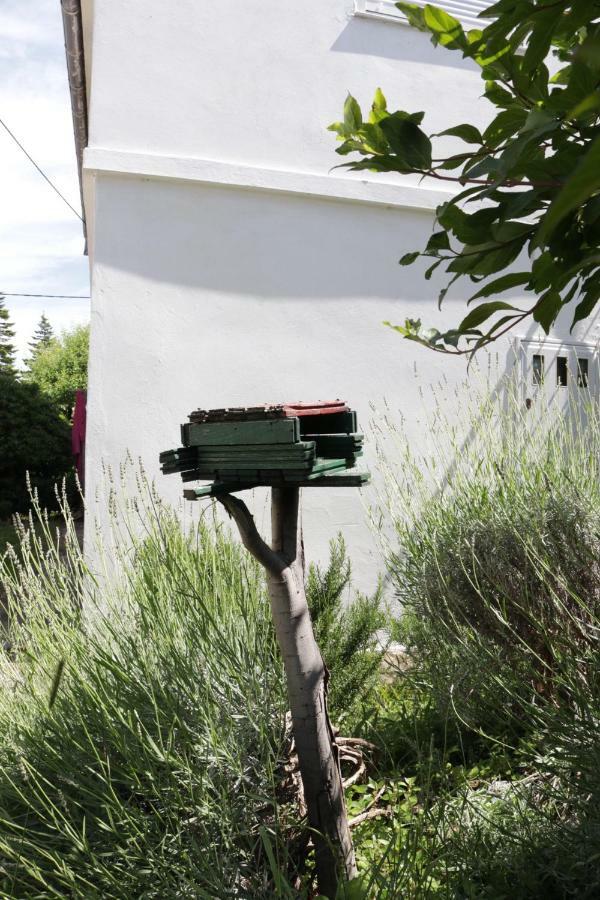 Green Hostel Zadar Exterior photo